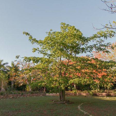 Bed and Breakfast Hacienda Shambalante Исамаль Экстерьер фото
