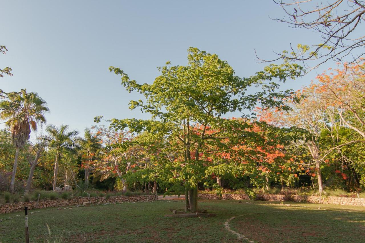 Bed and Breakfast Hacienda Shambalante Исамаль Экстерьер фото